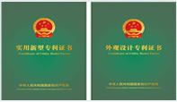 发展历程